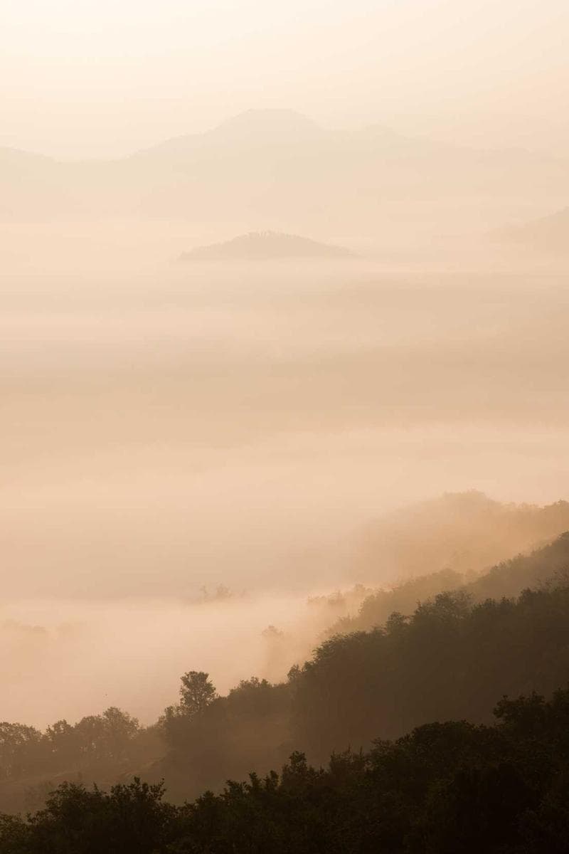 Beauty salon and cosmetic clinic